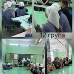 550449640_1086008160187199_8594885584874743273_n